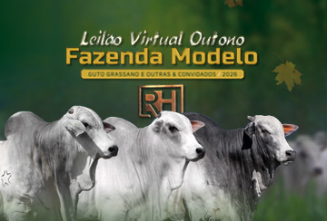 LEILÃO VIRTUAL OUTONO FAZENDA MODELO - GUTO GRASSANO E OUTRAS & CONVIDADOS 2026